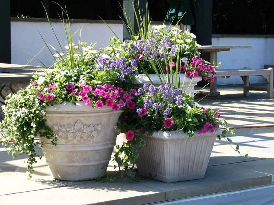 Flower Pots - Wichita
