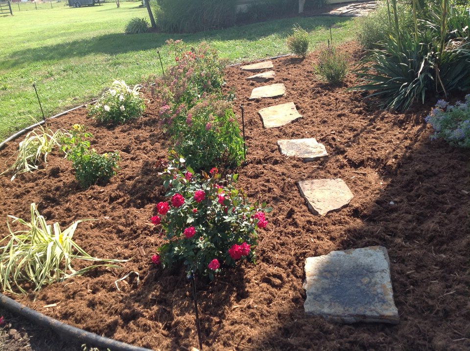 Mulch and your Landscape