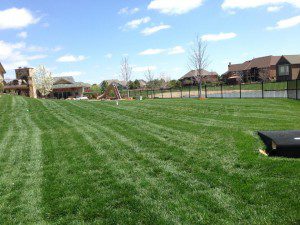 Lawn Care Services | Wichita, KS | Yard Mowing in Wichita