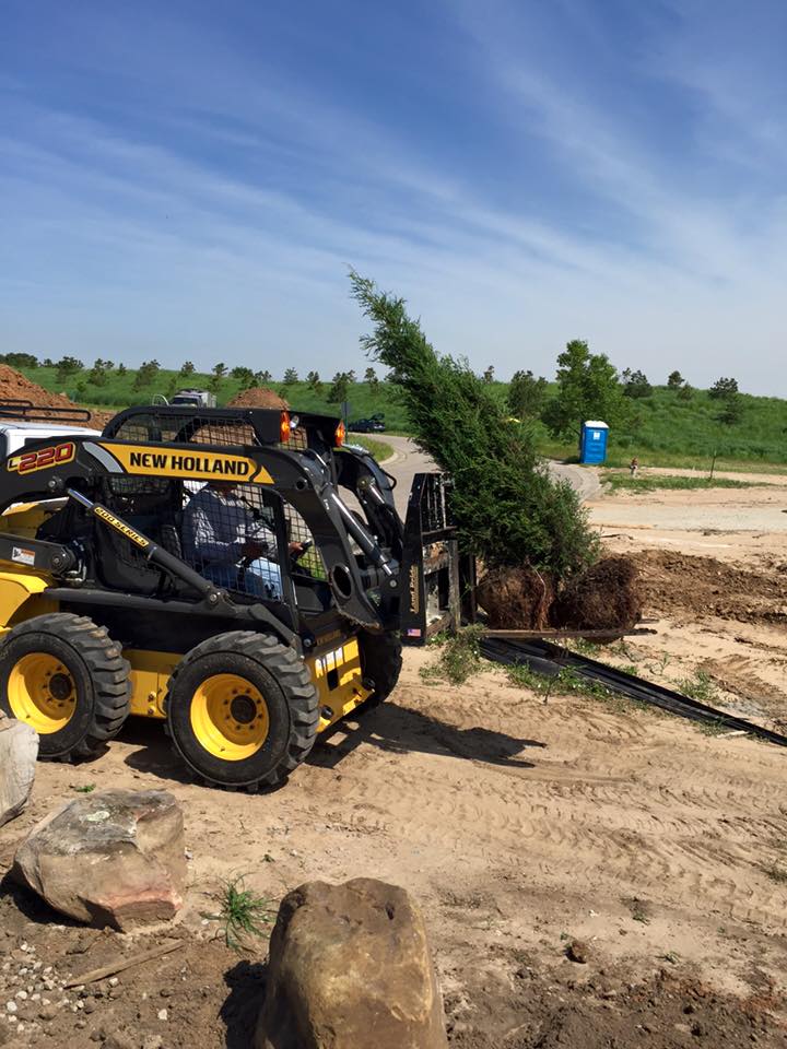 Tree Planting - Wichita