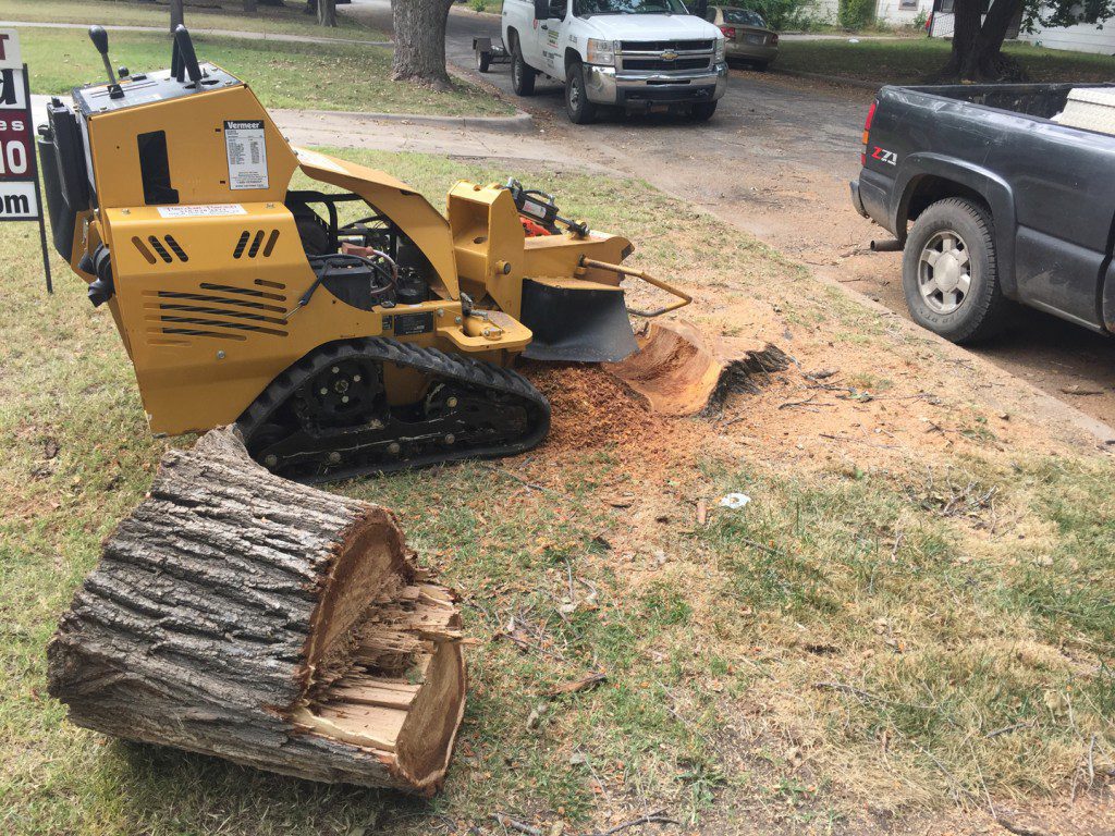 Tree Removal - Wichita