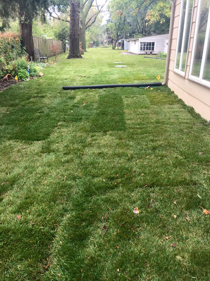 Sod Installation from Daniel's Lawn & Landscaping Service