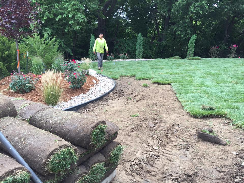 Transform your yard with Sod Installation