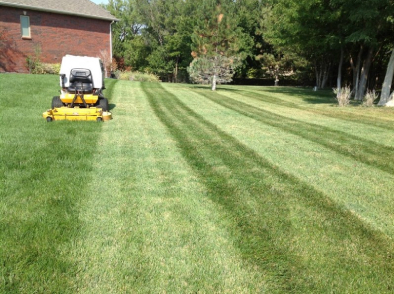 Lawn Care Services - Professional Lawn Mowing