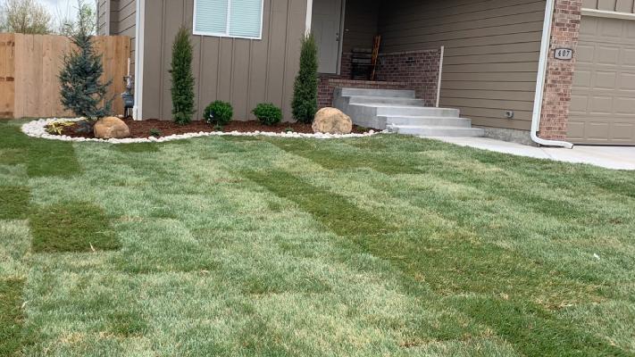 Sod Installation & Seed Planting - Landscape Services