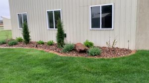 Get Ready for a Greener Lawn With Professional Residential Sod Installation