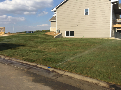 Lawn Care Services - Sod Installation